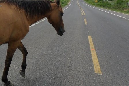 Na 19ª sessão ordinária de 2014, a sessão iniciou pela leitura do ofício da Prefeitura, o qual enviou o balancete da receita e despesa do mês de setembro, veja os […]