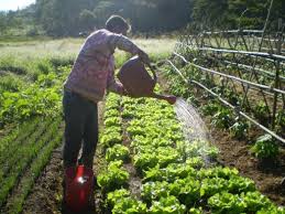 Fonte: Confederação Nacional dos Municípios A Confederação Nacional de Municípios (CNM) chama a atenção dos gestores municipais para a prestação de contas do Programa Nacional de Alimentação Escolar (Pnae) e […]