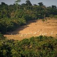 Fonte: POR ESTADÃO CONTEÚDO Sociedade Rural Brasileira (SRB) e a Bolsa de Valores Ambientais (BVRio) lançam na próxima semana serviço para disciplinar registro ambiental A Sociedade Rural Brasileira (SRB) e […]