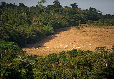 Fonte: POR ESTADÃO CONTEÚDO Sociedade Rural Brasileira (SRB) e a Bolsa de Valores Ambientais (BVRio) lançam na próxima semana serviço para disciplinar registro ambiental A Sociedade Rural Brasileira (SRB) e […]