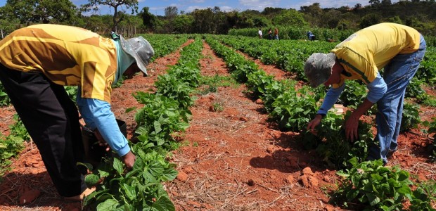 Fonte: Superior Tribunal de Justiça Por meio da usucapião especial rural, é possível adquirir a propriedade de área menor do que o módulo rural estabelecido para a região. A decisão […]