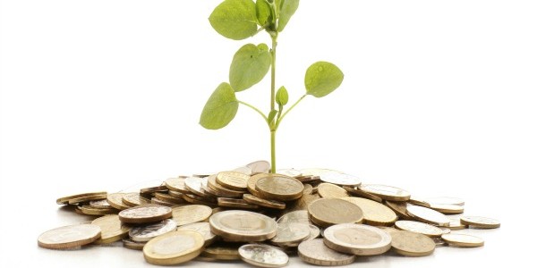 Fonte: Confederação Nacional de Municípios Proteger o meio ambiente e receber por esse serviço de proteção. Essa é a proposta do Pagamento por Serviços Ambientais (PSA), política aprovada na Câmara […]