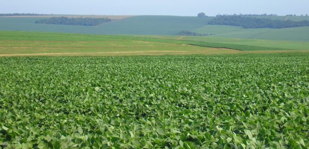 Fonte: Confederação Nacional dos Municípios Por conta de impedimentos da Receita Federal do Brasil (RFB), os Municípios conveniados para fins de fiscalização do Imposto Territorial Rural (ITR) continuam sem poder […]